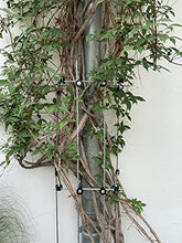 Load image into Gallery viewer, Serafin Mira Rankelement 90 verzinkt 90cm, 6mm stark