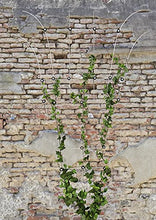 Load image into Gallery viewer, Serafin Mira Rankelement 90 verzinkt mit Bogen 90cm, 6mm stark