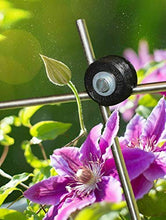 Cargar imagen en el visor de la galería, Serafin Mira, sistema de enrejado de crecimiento, ayuda para trepar, estructura de escalada, enrejado, juego de 4