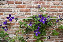 Cargar imagen en el visor de la galería, Serafín Mira, sistema de enrejado de crecimiento, ayuda para trepar, estructura de escalada, enrejado, set 2