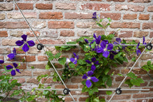 Load image into Gallery viewer, Serafin Mira Ranksystem aus Metall für Garten und Gewächshaus
