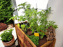 Load image into Gallery viewer, Serafin Mira Metallspalier für Clematis und Tomaten
